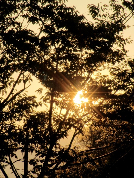 今日も･･夕日風景みながら・・