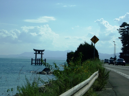 今日の桂浜・彼岸花状況と市内風景一部