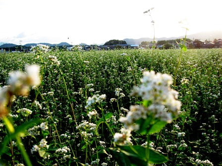 夕景の琵琶湖・・明日は敬老の日