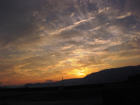 夕日に彼岸の花が・・・