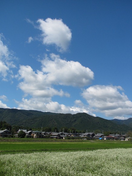 秋風に・・琵琶湖、そば一面、空に月