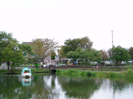 今日の高島市内の一部・・風景