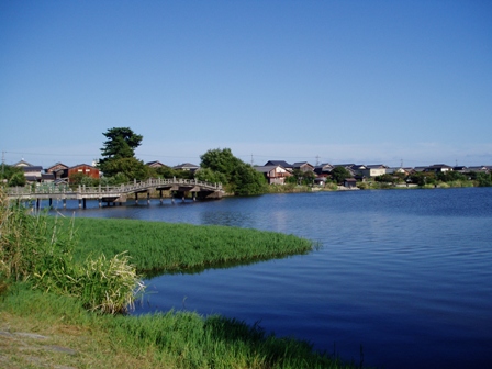 秋晴れ・・琵琶湖・・勢ぞろい秋風景