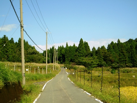 今日の高島市内風景と、ソバ写真コンテスト