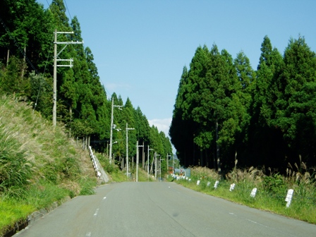 今日の高島市内風景と、ソバ写真コンテスト