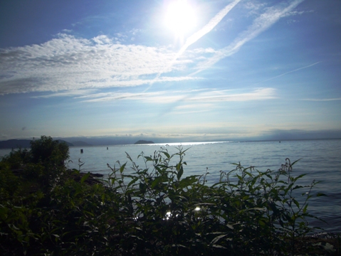 びわ湖岸に色とりどり