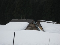 雪深の山里・・椋川集落
