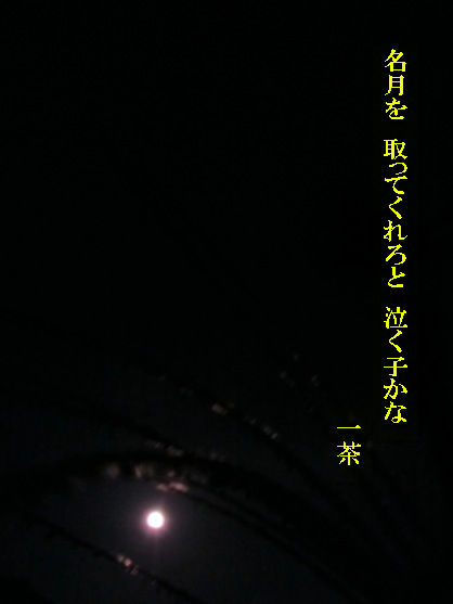 中秋の名月