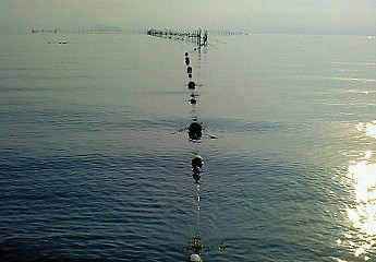 優しい光で琵琶湖