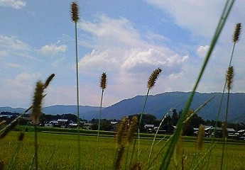 肘をｺﾂﾝと、痛ｯﾃ・・で、鳥居ﾗｲﾄｱｯﾌﾟ