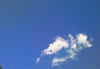 いつもの風景・・お昼と夕