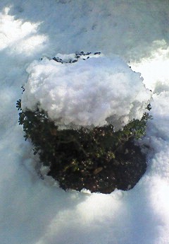 目まぐるしく晴