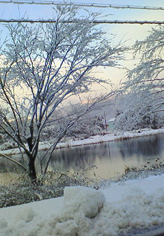 びわ湖・朝・風景