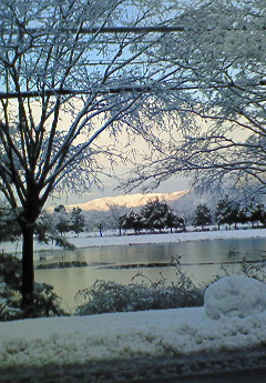 びわ湖・朝・風景