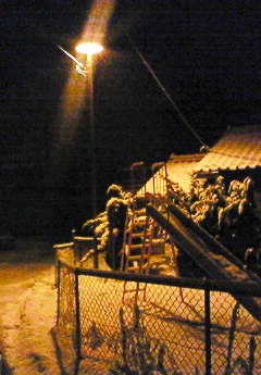 夜の雪