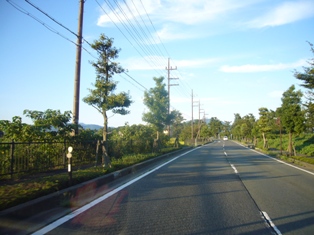 眩しい帰り道