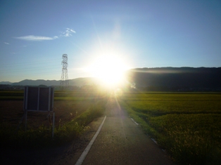 眩しい帰り道