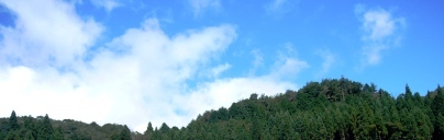 秋の空を眺めた
