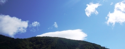 秋の空を眺めた