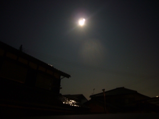 十三夜・・足下に秋色ﾁﾗ