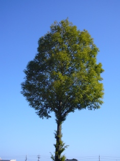 訓練・托鉢・青空