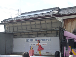 少し寒かった日中11月3日