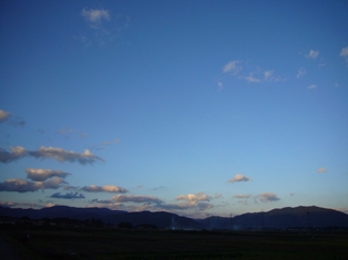 少し寒かった日中11月3日