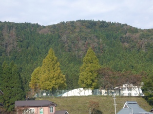 高島市朽木