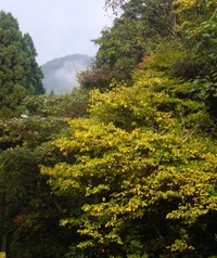 山裾に少しの色づき