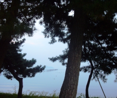薄暗きかな湖畔