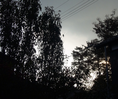 青空・暗雲・雨・虹
