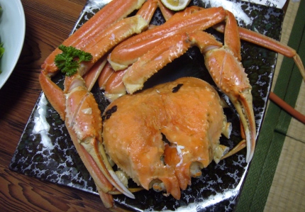 小浜民宿へカニ食べに・・