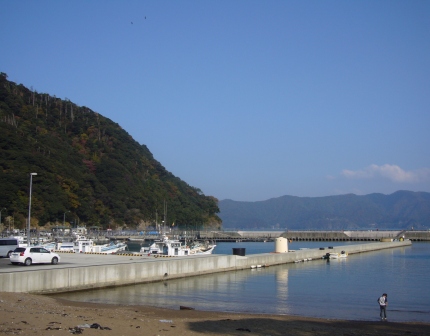 小浜民宿へカニ食べに・・