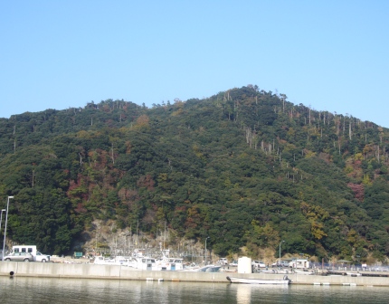 小浜民宿へカニ食べに・・