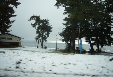 嫌やーーこんな雪