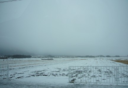 嫌やーーこんな雪
