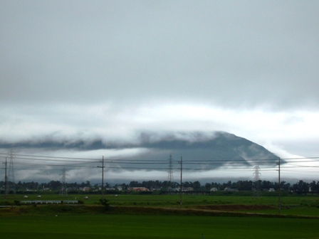 雨上がりの土曜日