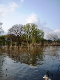 きれいな夕暮れびわ湖でした