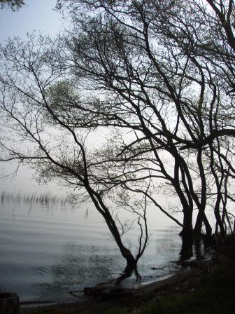 穏やかびわ湖