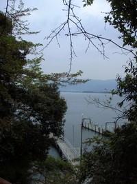 桜の後の・大崎観音