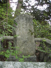 桜の後の・大崎観音