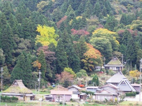 リンゴと山裾は秋模様