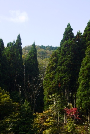 秋深しには・・もう少し