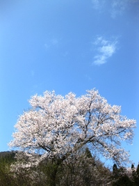 青い空にもらい物