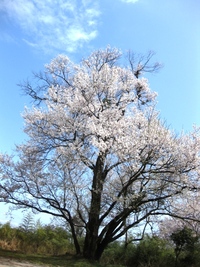 青い空にもらい物