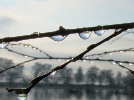 大雨，洪水注意報