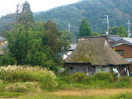 マキノ町在原、少しの秋を。