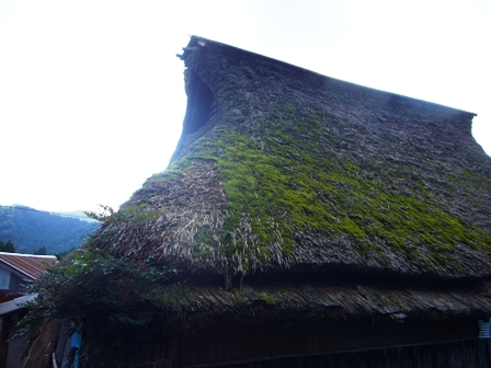 マキノ町在原、少しの秋を。