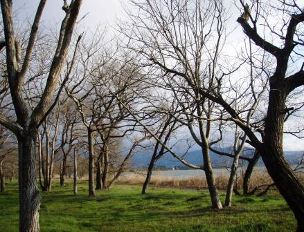 3月最後の琵琶湖・朝