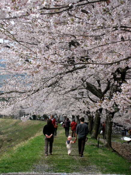 朽木朝市へ・・